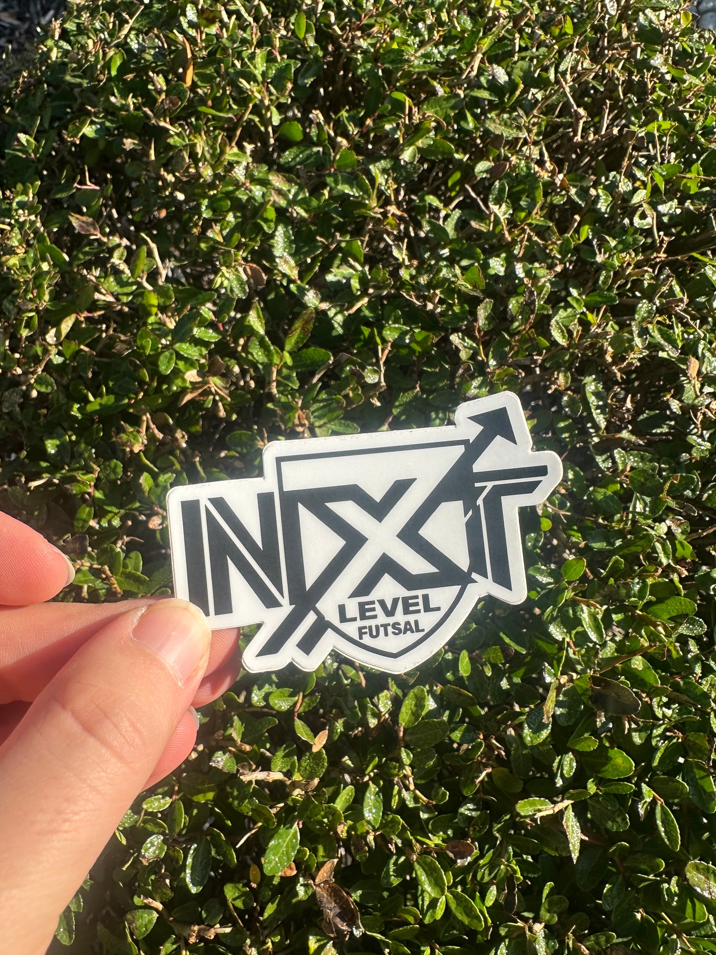 NXT Vinyl Sticker